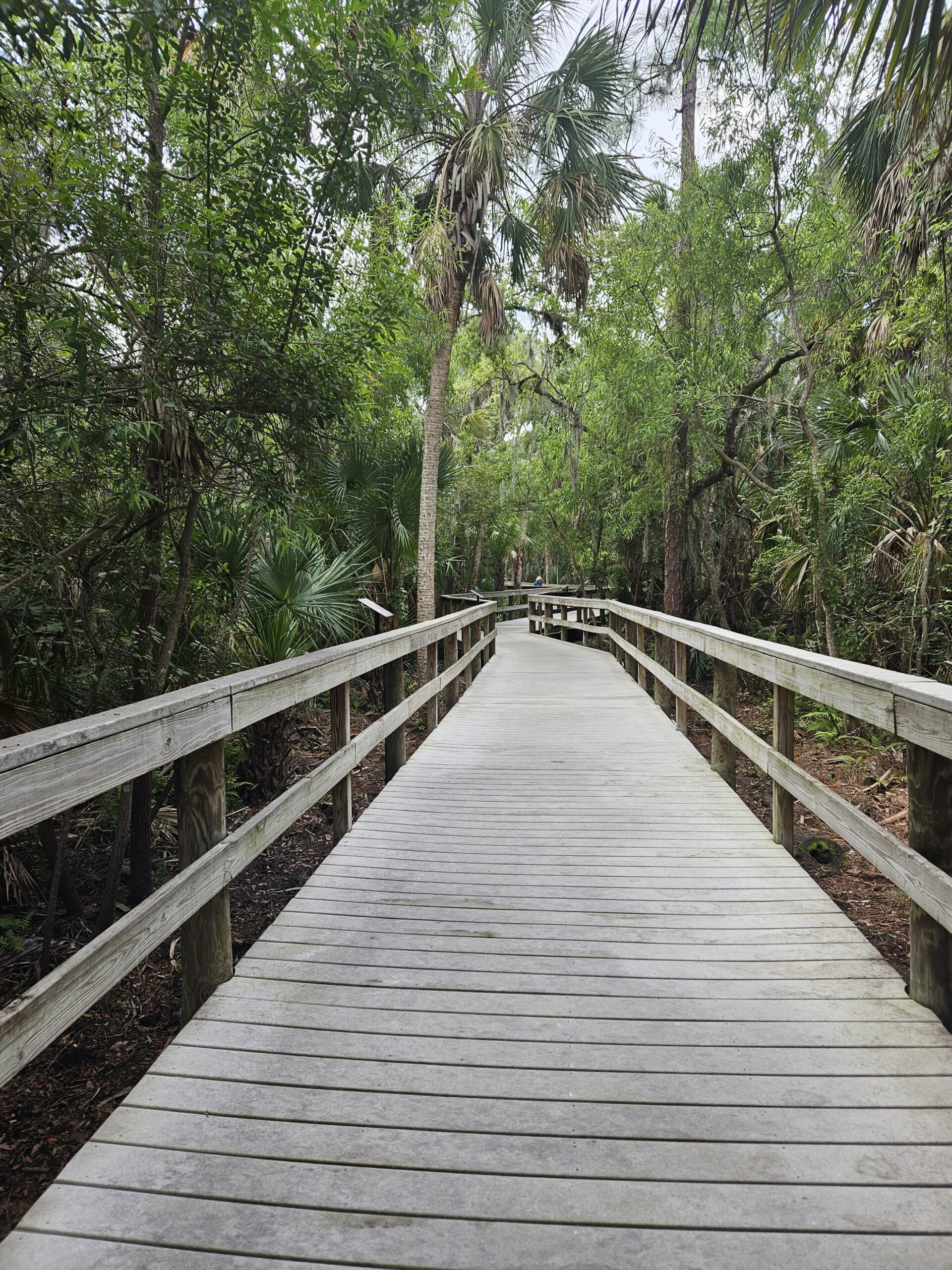 image of bridge at golf and river club