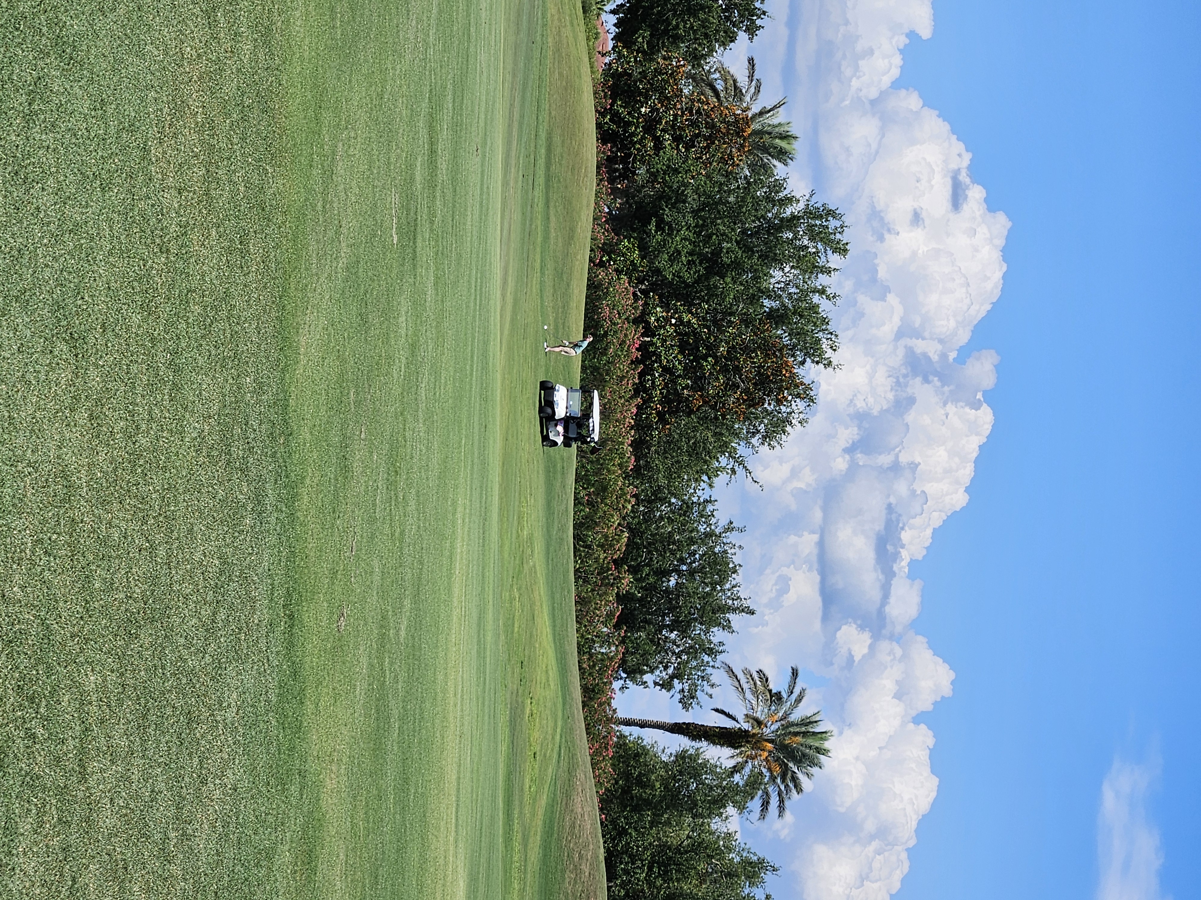 Picture - Golf Cart Lifestyle in Venice, FL